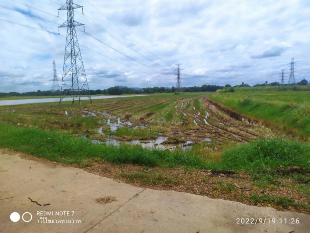 ขาย ที่ดิน ที่นา 10 ไร่ ติดถนนปูน ใกล้ถนนสายลพบุรี-ท่าวุ้ง เมือง ลพบุรี รูปที่ 1