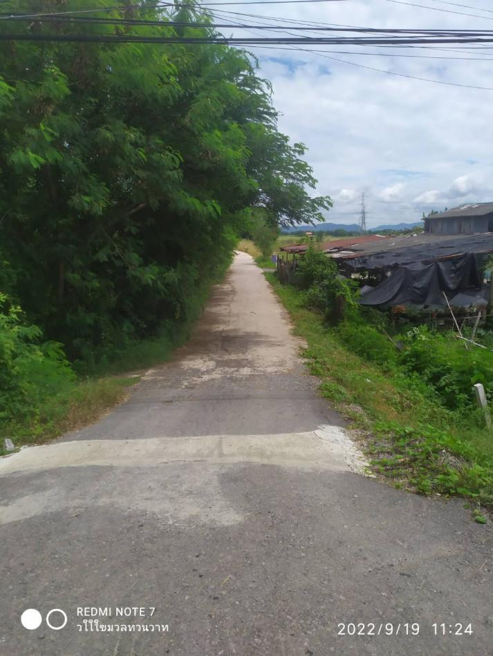 ขาย ที่ดิน ที่นา 10 ไร่ ติดถนนปูน ใกล้ถนนสายลพบุรี-ท่าวุ้ง เมือง ลพบุรี รูปที่ 10