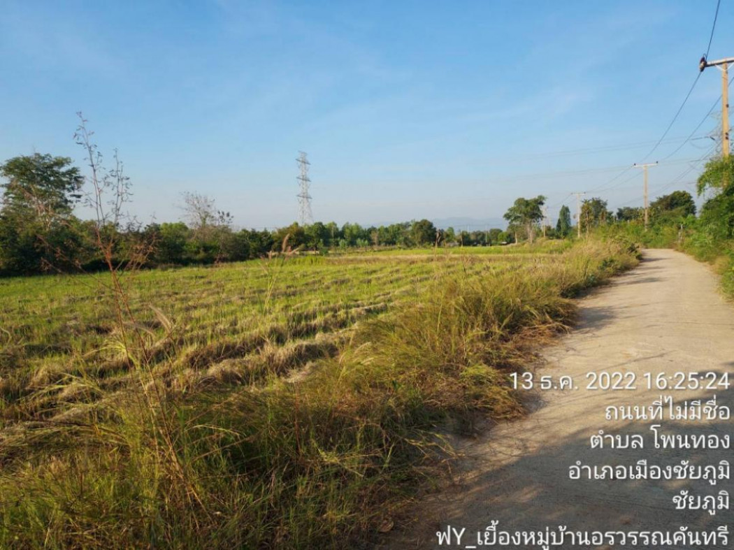 ขาย ที่ดินเปล่า ทำเลทอง ใกล้สถานที่ท่องเที่ยว โพนทอง ใกล้ขนส่งชัยภูมิ รูปที่ 1