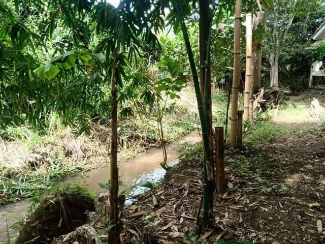 ที่ดินแปลงสวย​เชิงดอยสุเทพ อยู่ติดคูเมืองเก่าแก่ที่สุดในเชียงใหม่​ (เวียงเจ็ดลิน) รูปที่ 1