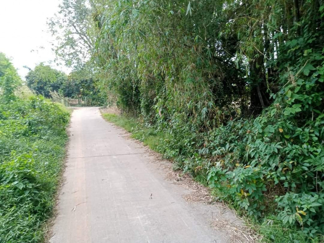 ขายที่ดินหนองยาว 1 ไร่ ติดถนนคอนกรีต หน้าวัดหนองยาว ใกล้ถนนเส้น 3002 - 550 เมตร อ.พนมสารคาม ฉะเชิงเทรา รูปที่ 2
