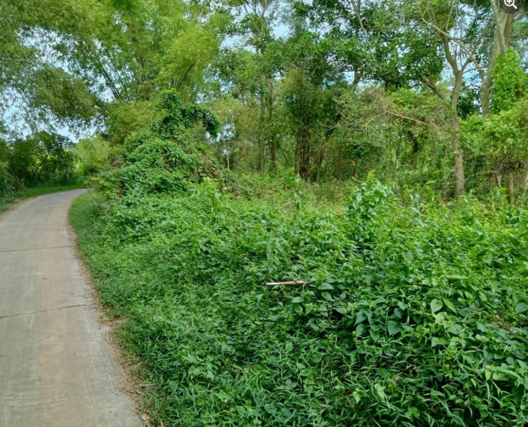 ขายที่ดินหนองยาว 1 ไร่ ติดถนนคอนกรีต หน้าวัดหนองยาว ใกล้ถนนเส้น 3002 - 550 เมตร อ.พนมสารคาม ฉะเชิงเทรา รูปที่ 6