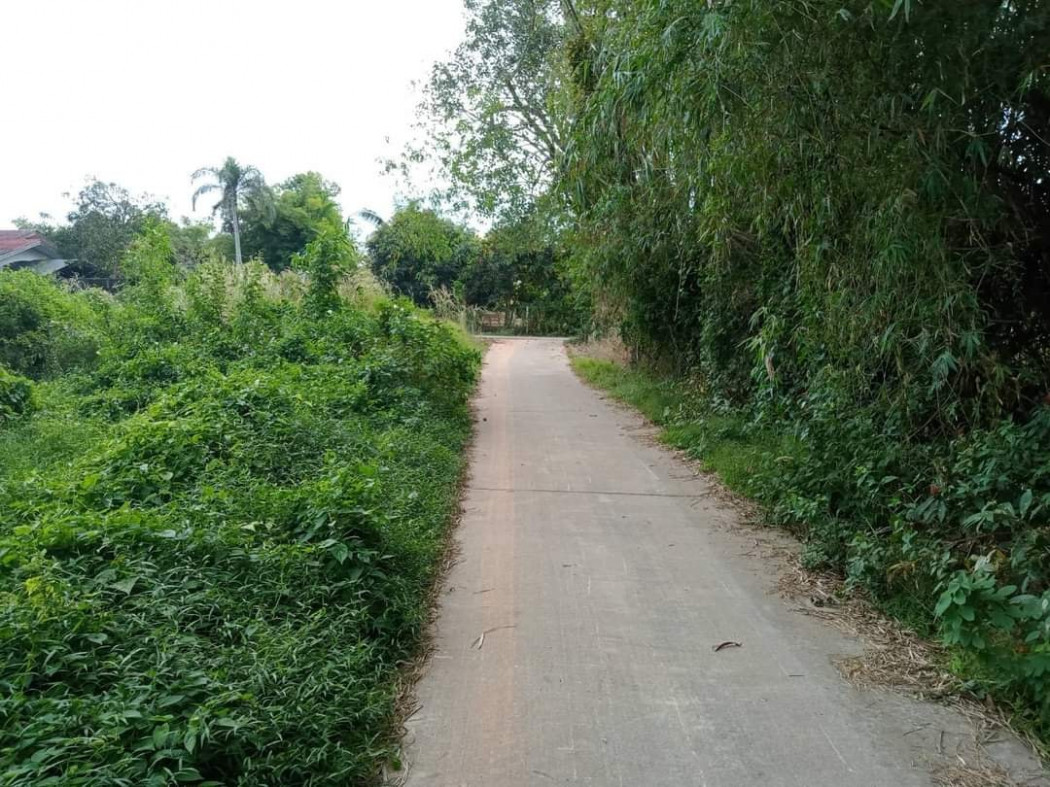 ขายที่ดินหนองยาว 1 ไร่ ติดถนนคอนกรีต หน้าวัดหนองยาว ใกล้ถนนเส้น 3002 - 550 เมตร อ.พนมสารคาม ฉะเชิงเทรา รูปที่ 3