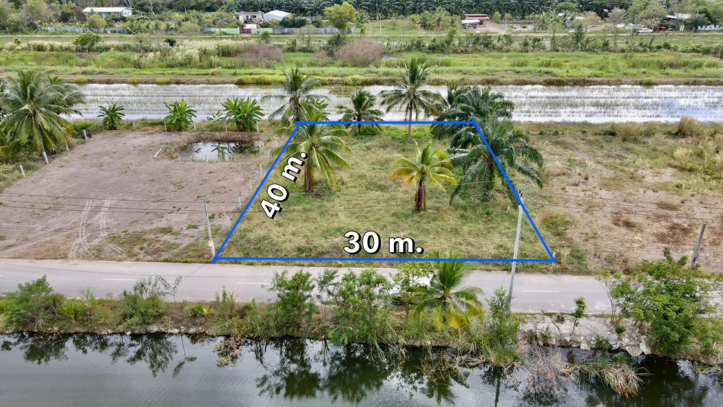 ขายที่ดินบึงบอน 300 ตรว. ถมแล้วติดถนนลาดยาง ใกล้วัดบึงบอน 1.3 กม. หนองเสือ ปทุมธานี รูปที่ 2