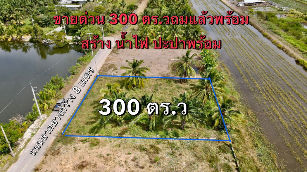 ขายที่ดินบึงบอน 300 ตรว. ถมแล้วติดถนนลาดยาง ใกล้วัดบึงบอน 1.3 กม. หนองเสือ ปทุมธานี รูปที่ 3