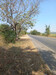 รูปย่อ ที่ดิน ติดถนน ท่าม่วง - กาญจนบุรี ไป จอมบึง ราชบุรี รูปที่1