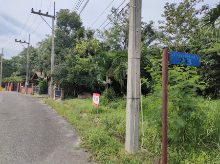 ขายที่ดิน โครงการบ้านเนินน้ำ แปลงมุม โครงการติดอ่างเก็บน้ำห้วยขุนจิต ตะเคียนเตี้ย 89 ตร.วา รูปที่ 10