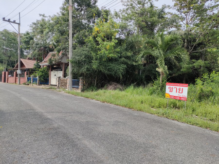 ขายที่ดิน โครงการบ้านเนินน้ำ แปลงมุม โครงการติดอ่างเก็บน้ำห้วยขุนจิต ตะเคียนเตี้ย 89 ตร.วา รูปที่ 7