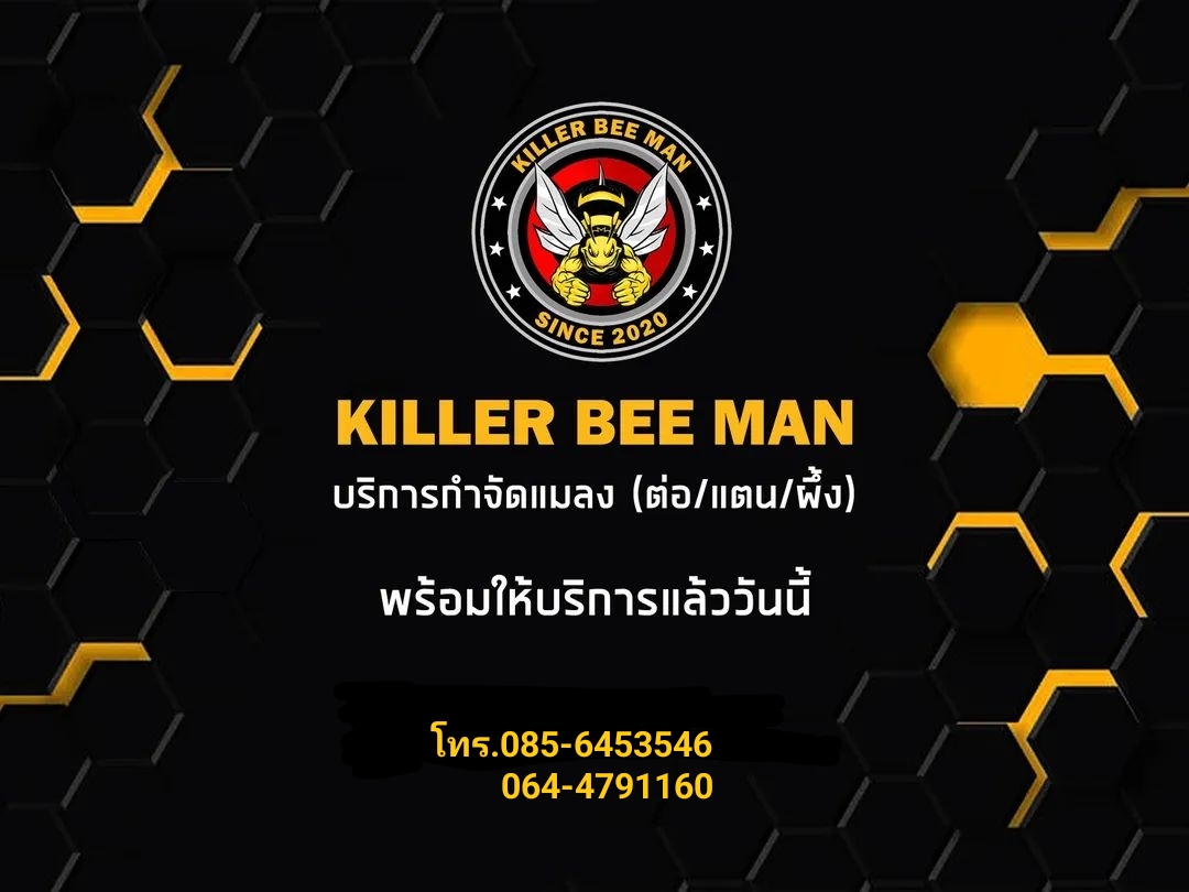 Beeman รับกำจัดรังผึ้ง ไล่ผึ้ง กำจัดรังต่อ แตน ราคาถูก โทร.0644791160 รูปที่ 1