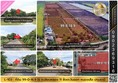 L-103 : ที่ดิน 99-0-16.9 ไร่ ถ.เลียบคลอง 11 ฝั่งตะวันออก (ปท.3022) อ.หนองเสือ จ.ปทุมธานี