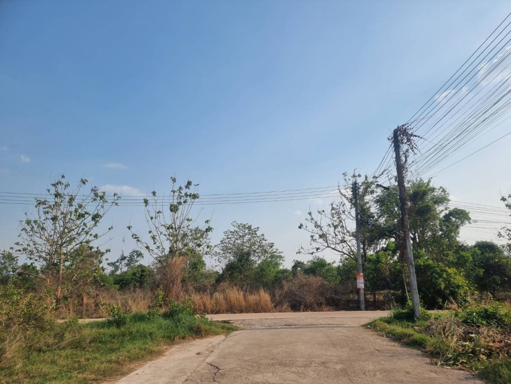 ขายที่ดินท่าถ่าน 252 ตรว. ซอยหมู่บ้านจิตรเกษม ราคาถูกทรงสี่เหลี่ยมสวยๆ ติดถนน 3 ด้าน อ.พนมสารคาม จ.ฉะเชิงเทรา รูปที่ 2