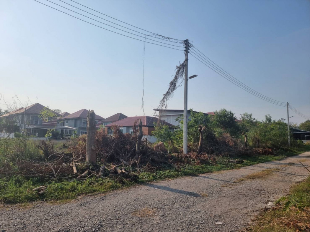 ขายที่ดินท่าถ่าน 252 ตรว. ซอยหมู่บ้านจิตรเกษม ราคาถูกทรงสี่เหลี่ยมสวยๆ ติดถนน 3 ด้าน อ.พนมสารคาม จ.ฉะเชิงเทรา รูปที่ 6
