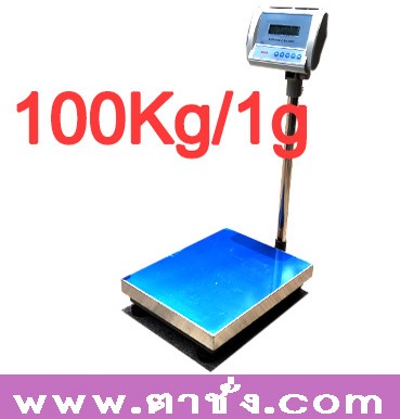 เครื่องชั่งดิจิตอลแบบตั้งพื้น 100kg/1g Iron Frame Floor Weighing Scale WT1003L คุณภาพสูง ยี่ห้อ WANT รูปที่ 1