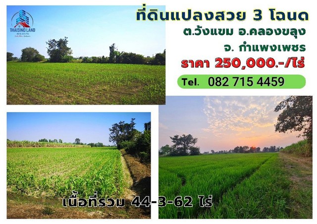 ขายที่ดิน 3 แปลง (3 โฉนด)​ เนื้อที่รวม 44-3-62 ไร่  รูปที่ 1