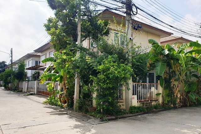 ขายบ้านเดี่ยว หมู่บ้านภัทรไพรเวท 2 ปทุมธานี (PTT00057) รูปที่ 1