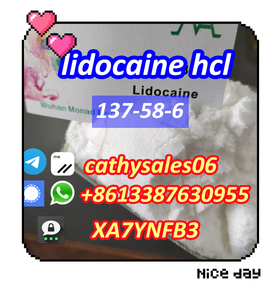 Anesthetic Powders Lidocaine for Pain Killer CAS 137-58-6 รูปที่ 1
