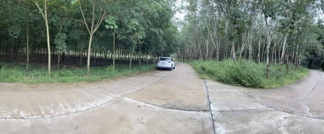 ขายที่ดินพร้อมสวนยางหนองละลอก 5 ไร่ ใกล้นิคมWHA - 5.4 กม. ใกล้ถ.เส้น 3143 - 2.1 กม. อ.บ้านค่าย จ.ระยอง รูปที่ 3