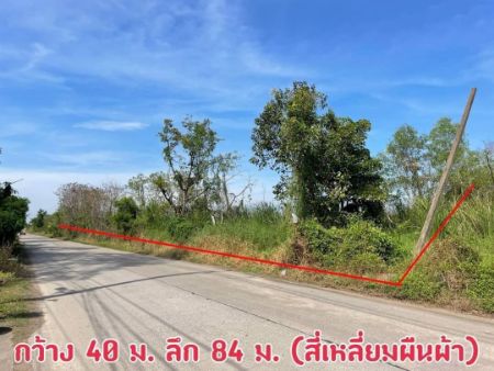 ขาย ที่ดิน รังสิต นครนายกคลอง6 2 ไร่ 44 ตร.วา ที่ดินสวย หน้าที่ดินอยู่ทิศ ใต้ รูปที่ 1