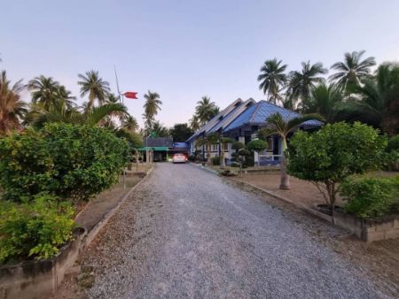 ขาย ที่ดิน โครงการติดถนนคอนกรีต ห่างทะเล 400 เมตรห้วยทราย 500 ตร.วา มีหาดให้ท่องเที่ยวใกล้ๆ กันถึง4หาด รูปที่ 5