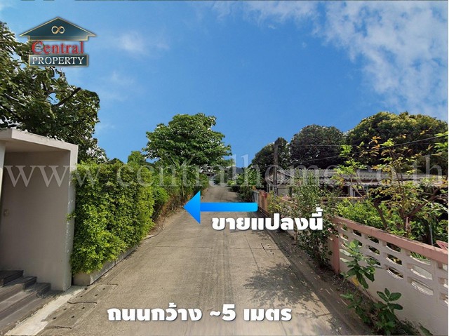 P1 ที่ดินเปล่า 149 ตร.วา ซอยติวานนท์ 24 ซ.เทพพนม 4 ใกล้ แยกแคราย รูปที่ 1