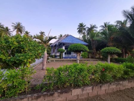 ขาย ที่ดิน โครงการติดถนนคอนกรีต ห่างทะเล 400 เมตรห้วยทราย 500 ตร.วา มีหาดให้ท่องเที่ยวใกล้ๆ กันถึง4หาด รูปที่ 6