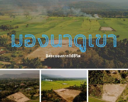 ขาย ที่ดิน ถนนหินคลุกกว้าง7เมตร น้ำไฟ เน็ต อยู่หน้าแปลงมองนาดูเขาวังทองพิษณุโลก 181.9 ตร.วา ที่ดินถมแล้ว วิวเขาลูกโตๆ รูปที่ 3