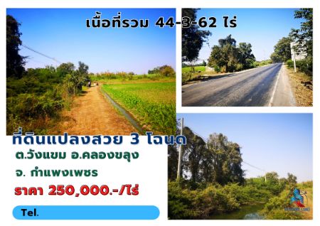 ขาย ที่ดิน รวม 3 โฉนด รวม 44-3-62 ไร่คลองขลุง 1 ไร่ ด้านหน้าแปลงติดคลองสาธารณะ รูปที่ 4