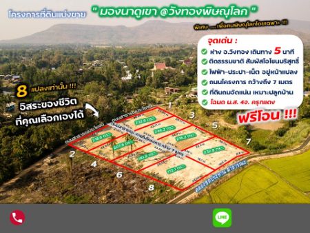 ขาย ที่ดิน ถนนหินคลุกกว้าง7เมตร น้ำไฟ เน็ต อยู่หน้าแปลงมองนาดูเขาวังทองพิษณุโลก 181.9 ตร.วา ที่ดินถมแล้ว วิวเขาลูกโตๆ รูปที่ 2
