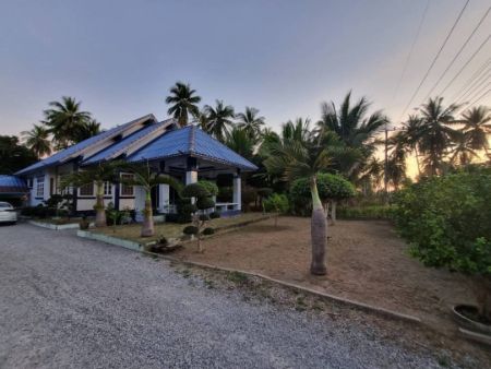 ขาย ที่ดิน โครงการติดถนนคอนกรีต ห่างทะเล 400 เมตรห้วยทราย 500 ตร.วา มีหาดให้ท่องเที่ยวใกล้ๆ กันถึง4หาด รูปที่ 4
