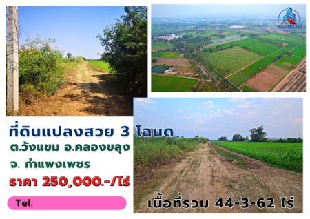 ขาย ที่ดิน รวม 3 โฉนด รวม 44-3-62 ไร่คลองขลุง 1 ไร่ ด้านหน้าแปลงติดคลองสาธารณะ รูปที่ 3