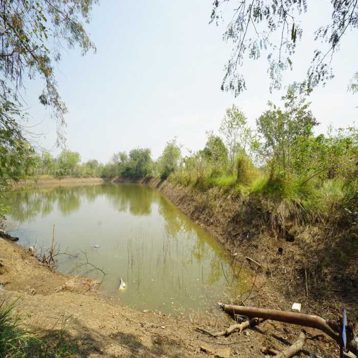 ขาย ที่ดิน หนองยาว สระบุรี 57 ไร่ ใกล้รรนานาชาติเซนต์จอห์นแมรี ทางออกมอเตอร์เวย์สายใหม่ เหมาะทำโครงการจัดสรร ราคาสุดพิเศษ รูปที่ 5