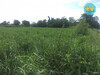 รูปย่อ ขาย ที่ดิน พื้นที่กว้างเพื่อพัฒนาต่อยอด พนัสนิคม ชลบุรี 8 ไร่ 72 ตร.วา รูปที่8