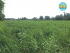 รูปย่อ ขาย ที่ดิน พื้นที่กว้างเพื่อพัฒนาต่อยอด พนัสนิคม ชลบุรี 8 ไร่ 72 ตร.วา รูปที่1