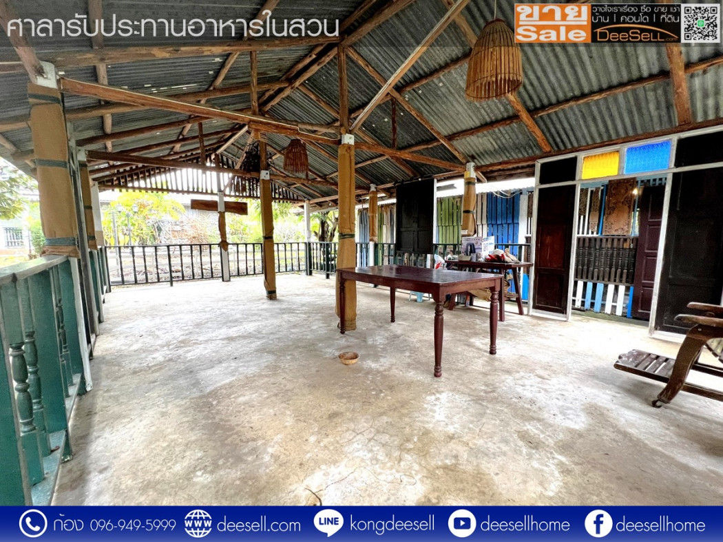 ขายบ้านเดี่ยว ใหญ่ที่สุดในอำเภอหนองหงส์ บุรีรัมย์ ติดเทศบาลหนองหงส์ 1 ไร่ 2 งาน 30 ตร.วา รูปที่ 5
