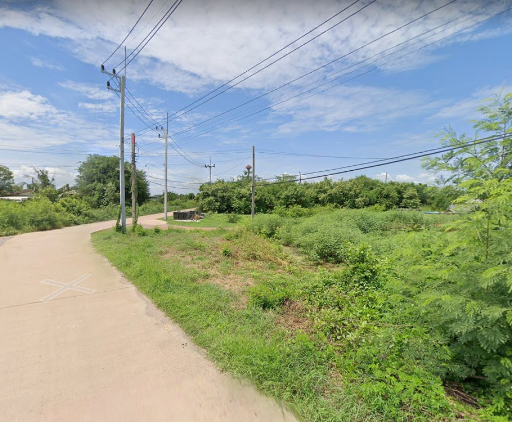 ขายที่ดินหนองบัวถมแล้ว 160 ตรว. แปลงหัวมุมติดถ.2ด้าน ดอนทราย-ลาดตะทา ซอย 3 อ.บ้านโพธิ์ ฉะเชิงเทรา รูปที่ 3