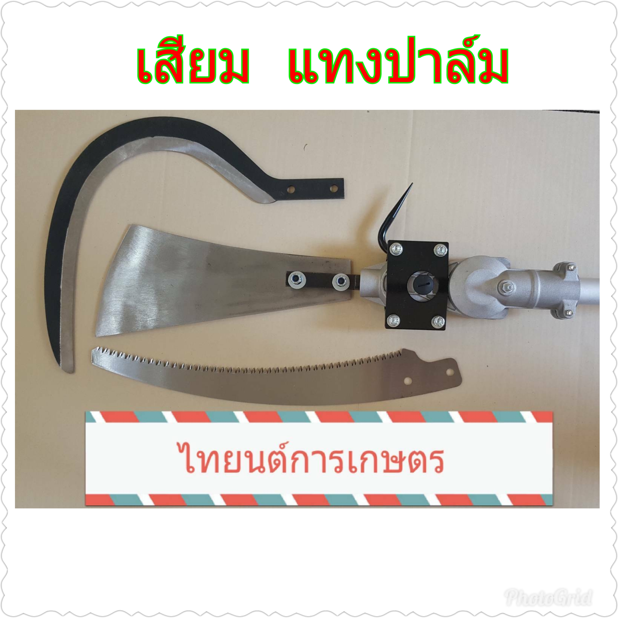 เครื่องตัดปาล์มน้ำมัน ความยาวรวมคนเก็บเกี่ยวได้ความยาว 4.80 เมตร โทร.093-283-8159 ไทยนต์การเกษตร รูปที่ 5
