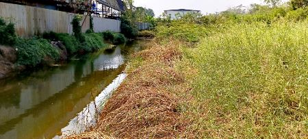 ขาย ที่ดิน ใกล้มอเตอร์เวย์คลองสี่ 1 ไร่ คลองหลวง ปทุมธานี รูปที่ 6
