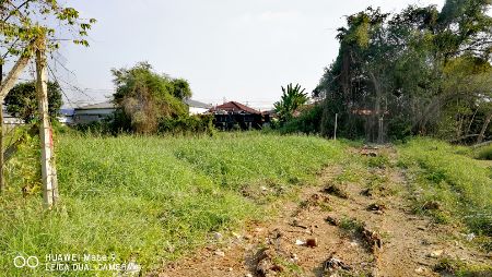 ขาย ที่ดิน ติดหมู่บ้านอาสาเฮ้าส์5 2 งาน 86 ตร.วา บางใหญ่ นนทบุรี รูปที่ 4