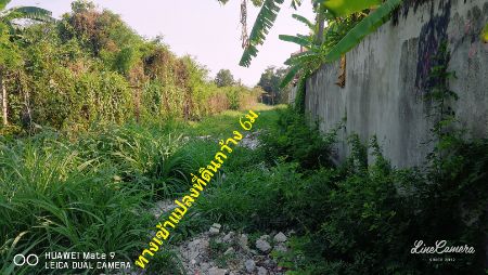 ขาย ที่ดิน ติดหมู่บ้านอาสาเฮ้าส์5 2 งาน 86 ตร.วา บางใหญ่ นนทบุรี รูปที่ 5