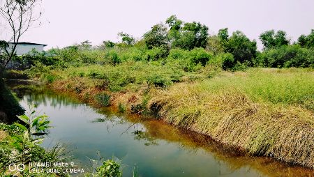 ขาย ที่ดิน ใกล้มอเตอร์เวย์คลองสี่ 1 ไร่ คลองหลวง ปทุมธานี รูปที่ 4