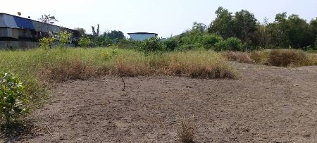 ขาย ที่ดิน ใกล้มอเตอร์เวย์คลองสี่ 1 ไร่ คลองหลวง ปทุมธานี รูปที่ 3