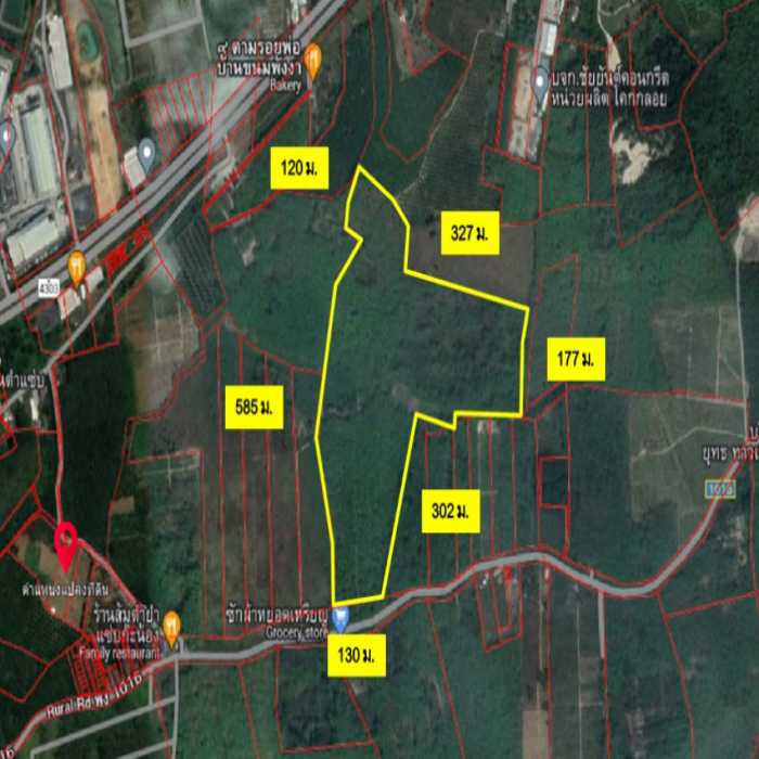 ขาย ที่ดิน ติดถนน โยธาธิการพังงา 2016 ขนาด 105 ไร่ 41.8 ตร.วา เหมาะทำการค้า รูปที่ 2