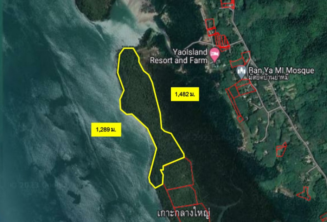ขาย ที่ดิน เกาะกลางใหญ่ พังงา 123 ไร่ 3 งาน 46 ตร.วา ติดทะเลอันดามัน มีหาดทราย รูปที่ 2