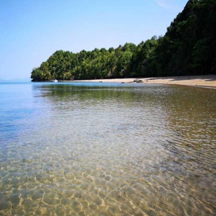 ขาย ที่ดิน เกาะกลางใหญ่ พังงา 123 ไร่ 3 งาน 46 ตร.วา ติดทะเลอันดามัน มีหาดทราย รูปที่ 5