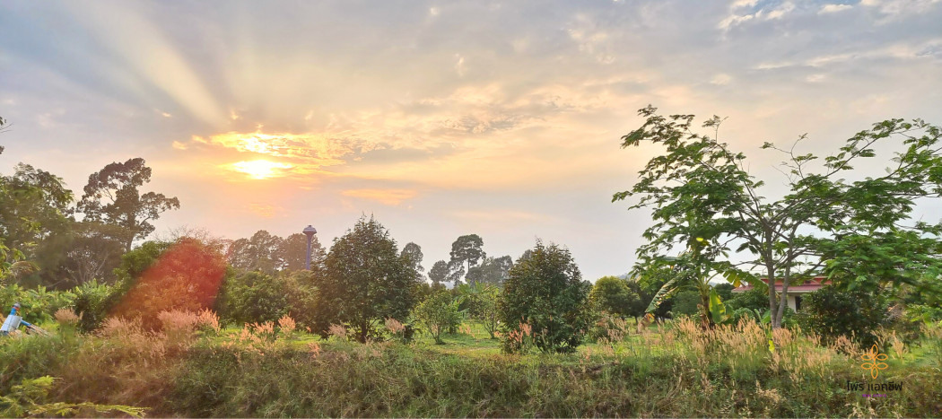 ขาย ที่ดินสร้างบ้านริมเขา 50 ตร.วา ติดเขาใหญ่ นครนายก อากาศดี๊ดี รูปที่ 1