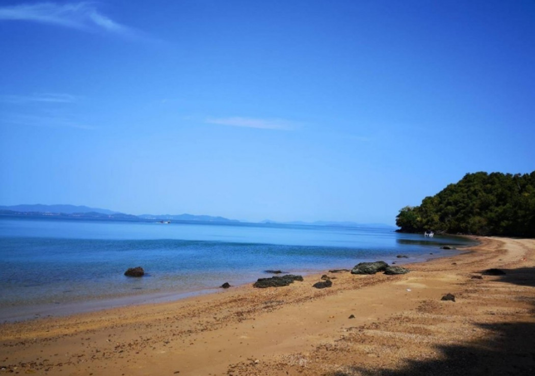 ขาย ที่ดิน เกาะกลางใหญ่ พังงา 123 ไร่ 3 งาน 46 ตร.วา ติดทะเลอันดามัน มีหาดทราย รูปที่ 6