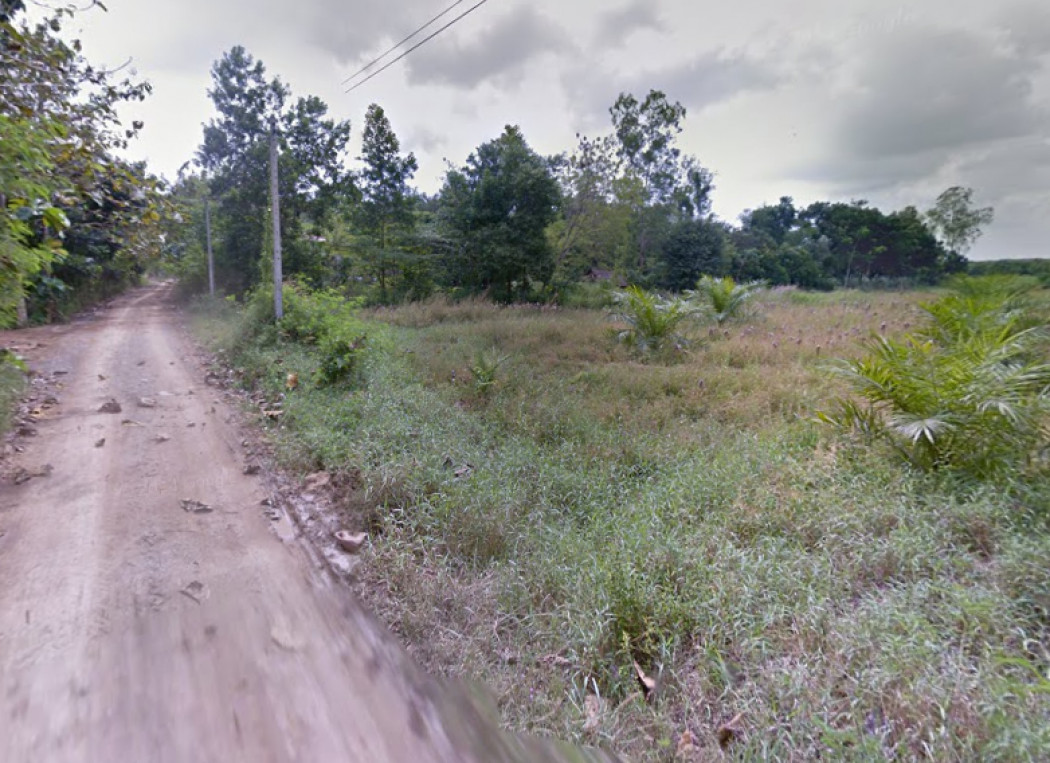 ขาย ที่ดิน ต.ทุ่งขนาน อ.สอยดาว จ.จันทบุรี 9 ไร่ 1 งาน 16 ตร.วา ใกล้ปากซอยถนนหมายเลข 3405 ประมาณ 2 กม. รูปที่ 6