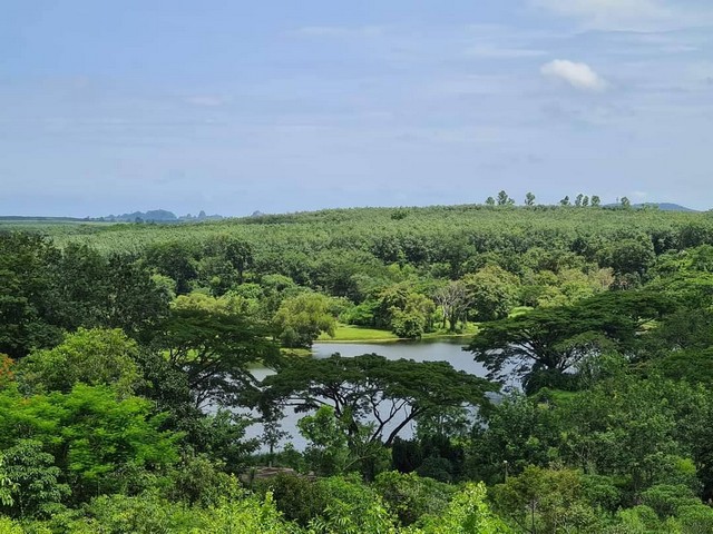 ขายที่ดินจัดสรรแบ่งขายในโครงการ  แรบบิซ ฮิลส์ รีสอร์ท (Rabbiz Hill Resort)  รูปที่ 1