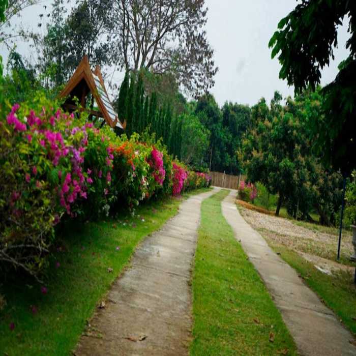 ขาย ที่ดิน ขายที่ดินพร้อมรีสอร์ทเชียงดาวไพรเวซี่ เชียงใหม่ เนื้อที่ 9 ไร่ 87 ตร.วา รูปที่ 5