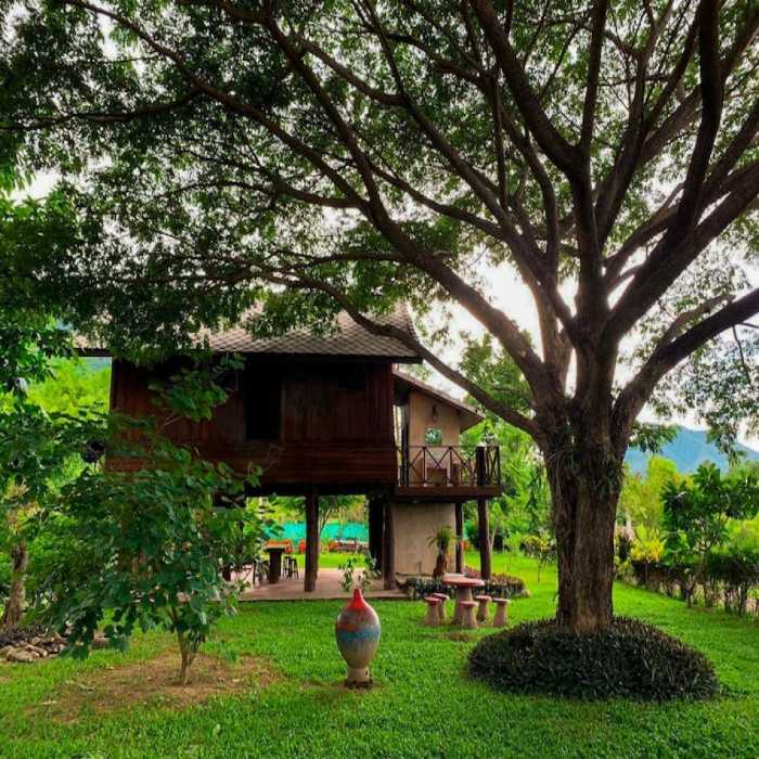ขาย ที่ดิน ขายที่ดินพร้อมรีสอร์ทเชียงดาวไพรเวซี่ เชียงใหม่ เนื้อที่ 9 ไร่ 87 ตร.วา รูปที่ 6